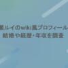 黒瀬ルイのwiki風プロフィール！結婚や経歴・年収を調査