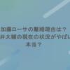 加藤ローサの離婚理由は？夫・松井大輔の現在の状況がやばいって本当？