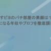 あすピヨのパチ部屋の素顔は？気になる年収やプロフを徹底調査